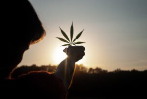 Holistic Self Care + Cannabis