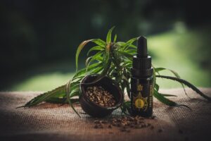 What Is Cannabis Extract? A Weed Product Deep Dive